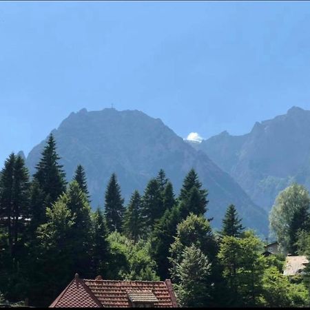 Pensiunea Sport Buşteni Dış mekan fotoğraf
