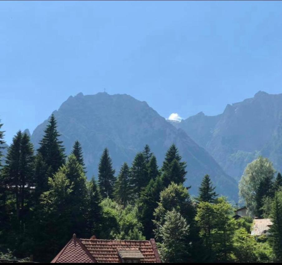 Pensiunea Sport Buşteni Dış mekan fotoğraf