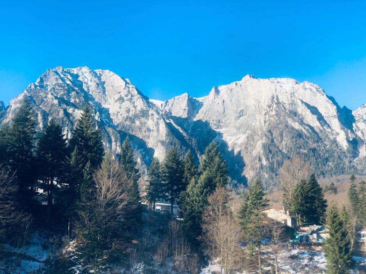 Pensiunea Sport Buşteni Dış mekan fotoğraf