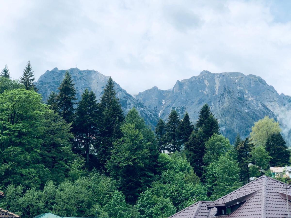 Pensiunea Sport Buşteni Dış mekan fotoğraf